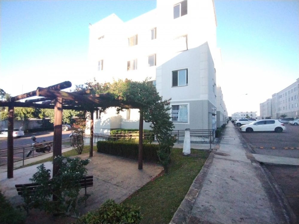 Apartamento - Venda - Costeira - Araucria - PR